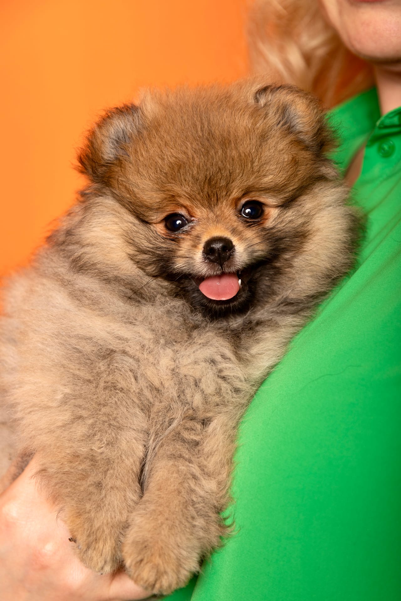 Welpenfoto 23
